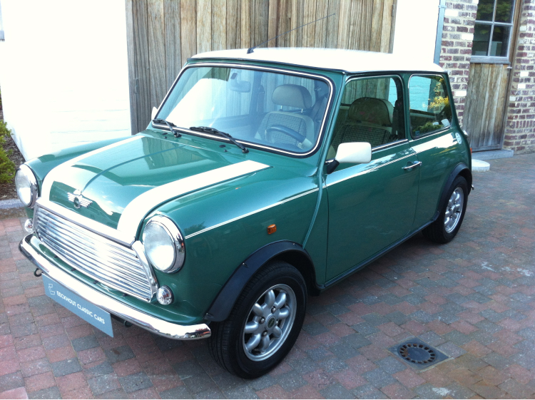 foto 1.3 MPI MINI almond green