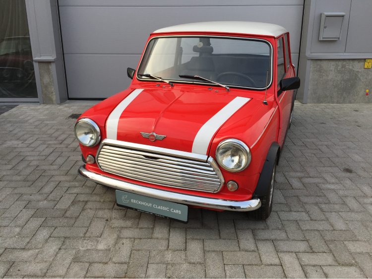 foto Mini 1000 cc