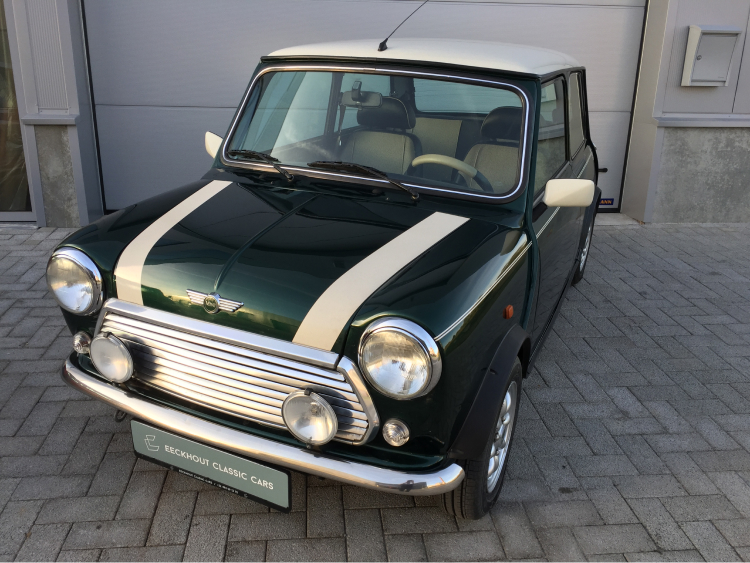 foto 1.3 MPI rover mini